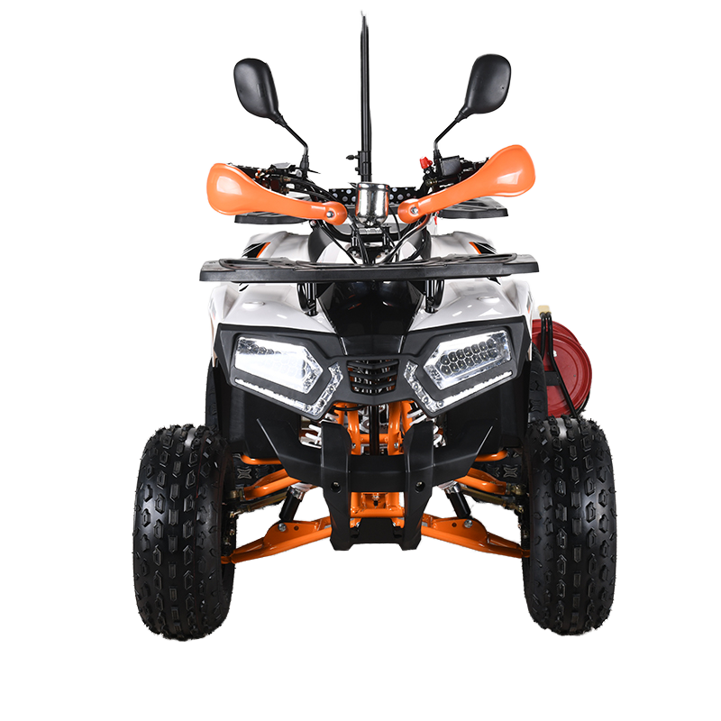 110cc CE EPA  ATV Adult 4-Whee - Outdoor Adventure Quad Biking 评论和价格
