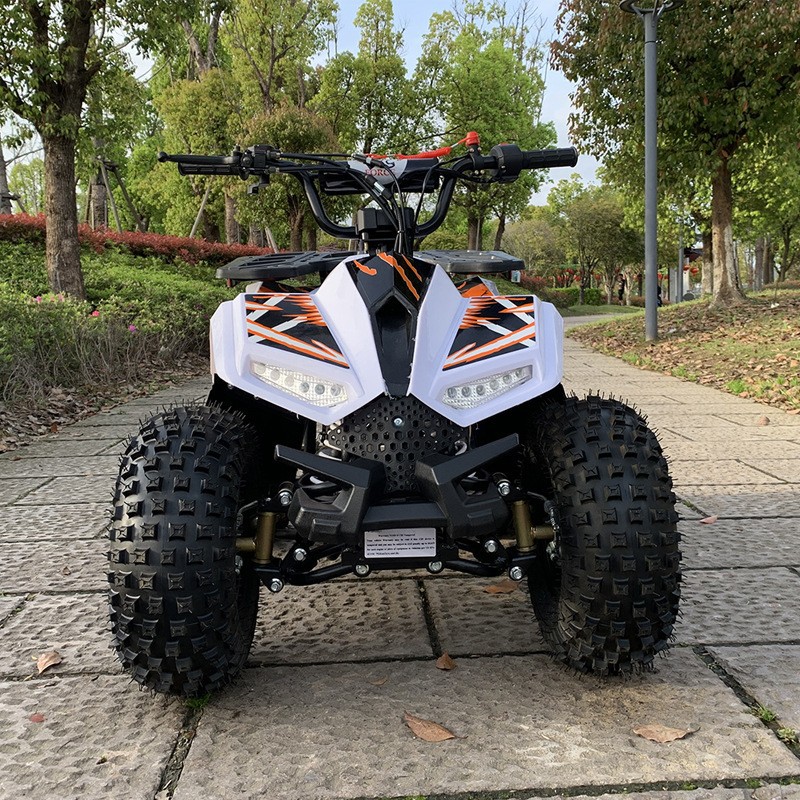 125CC ATV, Small Falcon All-Te - Outdoor Adventure Quad Biking 评论和价格