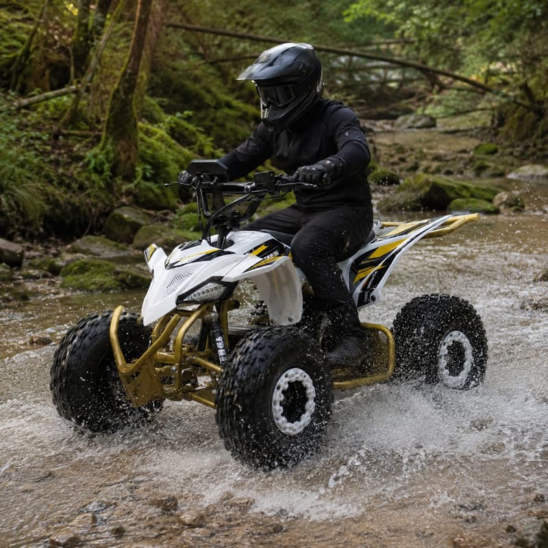 Adult Dune Buggy Customized Fo - Outdoor Adventure Quad Biking 评论和价格