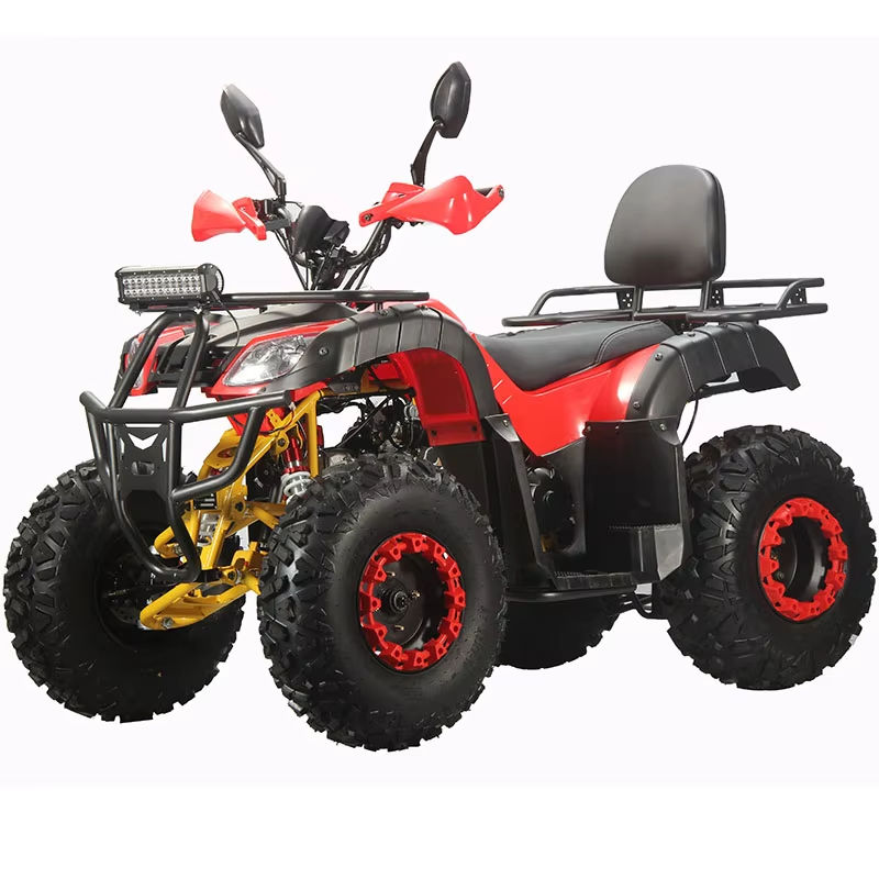 Adult Outdoor Buggy Customized - Outdoor Adventure Quad Biking 评论和价格