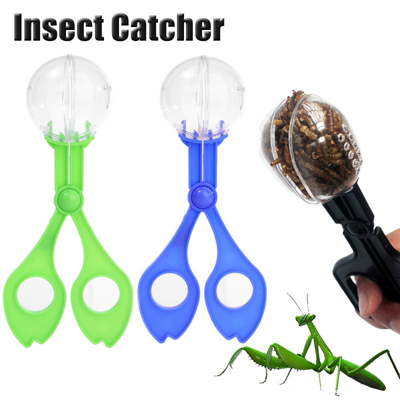 Kids Outdoor Adventure Insect  - Outdoor Adventure For Kids 评论和价格
