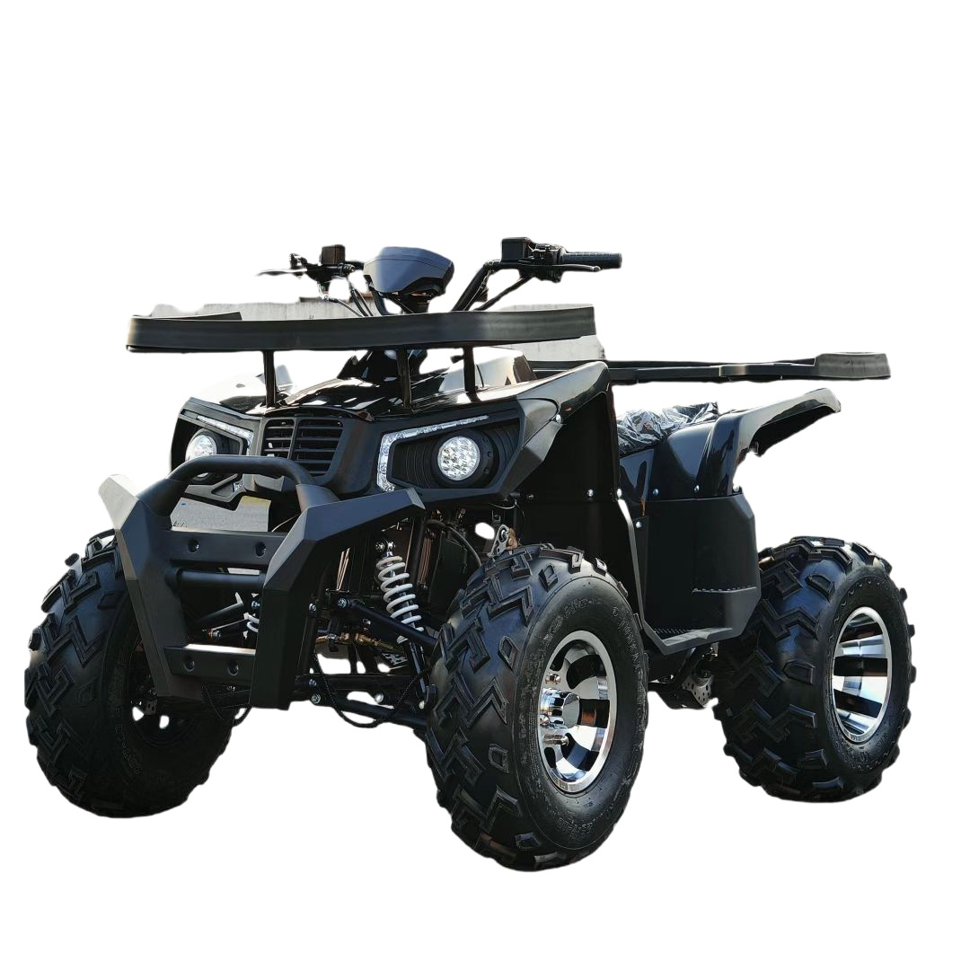 All Terrain Sand Buggy 200CC G - Outdoor Adventure Quad Biking 评论和价格