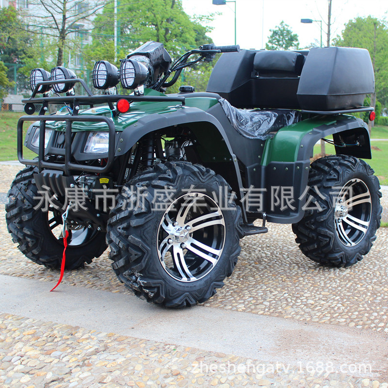 ATV 250cc, 4-Wheel All-Terrain - Outdoor Adventure Quad Biking 评论和价格