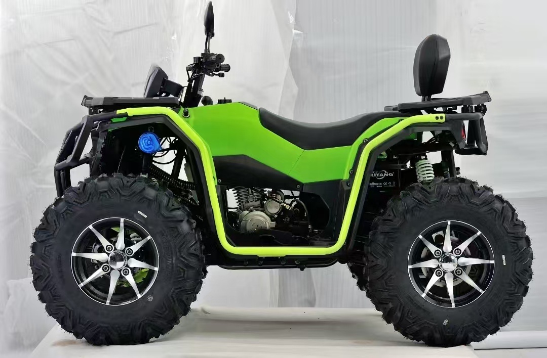 Wholesale Price 300cc ATV with - Outdoor Adventure Quad Biking 评论和价格